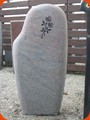 085 DGM