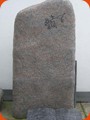 087 DGM
