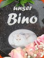04-steine-fuer-tiere