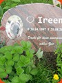 05-steine-fuer-tiere
